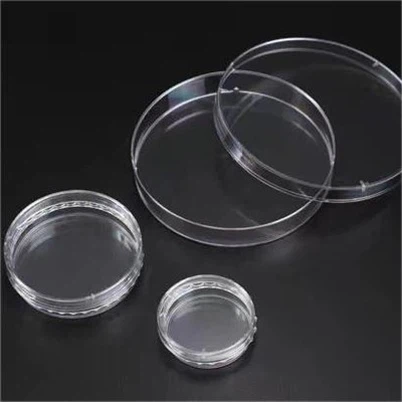 3D Cell Floater Dish